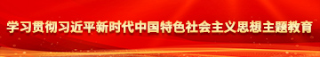 视频在线观看啊啊啊肏学习贯彻习近平新时代中国特色社会主义思想主题教育